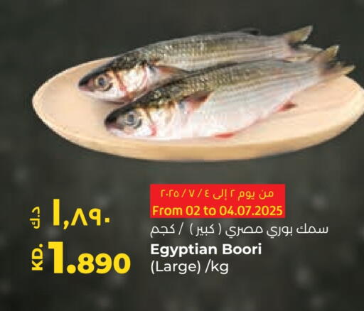 available at لولو هايبر ماركت in الكويت - محافظة الأحمدي