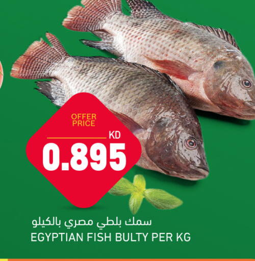 available at Gulfmart in Kuwait - Kuwait City