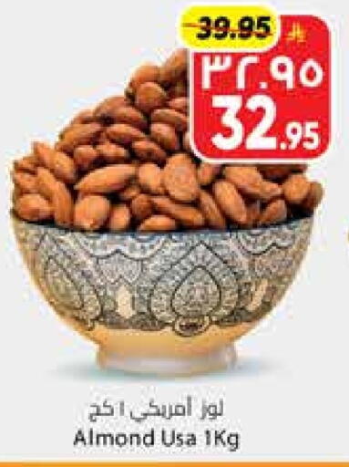 available at ستي فلاور in مملكة العربية السعودية, السعودية, سعودية - سكاكا