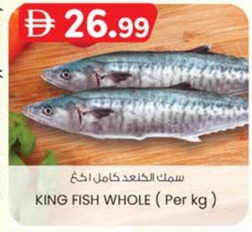 King Fish available at K M Trading  in UAE - Fujairah