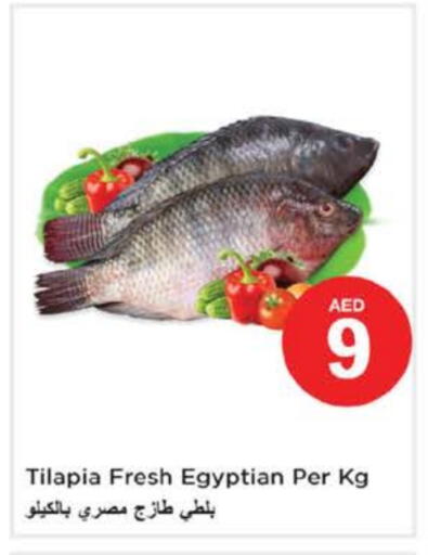 available at Nesto Hypermarket in UAE - Fujairah