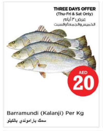 available at Nesto Hypermarket in UAE - Fujairah