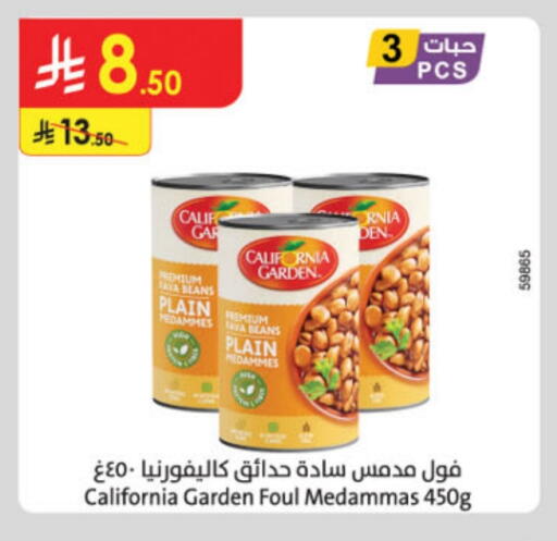 كاليفورنيا جاردن available at الدانوب in مملكة العربية السعودية, السعودية, سعودية - حائل‎