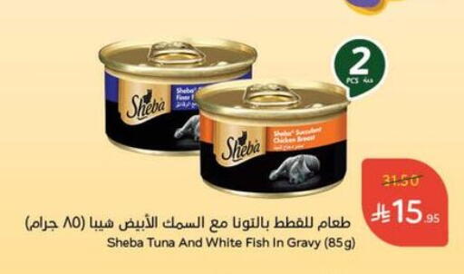 available at هايبر بنده in مملكة العربية السعودية, السعودية, سعودية - تبوك