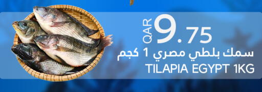 available at Food Palace Hypermarket in Qatar - Al Wakra