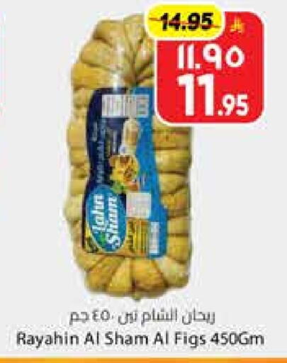 available at City Flower in KSA, Saudi Arabia, Saudi - Sakaka