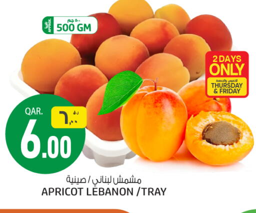 Apricot available at كنز ميني مارت in قطر - الضعاين
