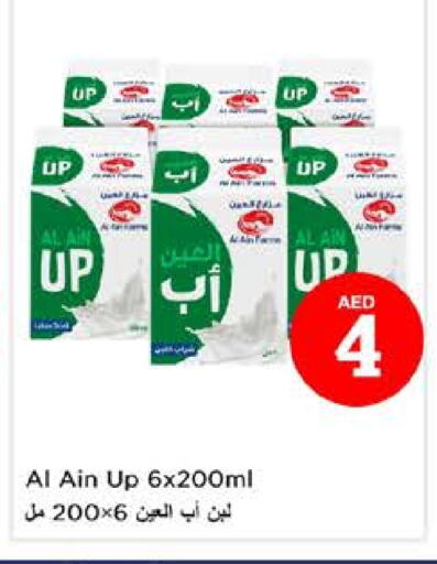 العين لبن available at نستو هايبرماركت in الإمارات العربية المتحدة , الامارات - الشارقة / عجمان