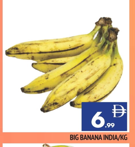 موز from India available at المدينة in الإمارات العربية المتحدة , الامارات - الشارقة / عجمان