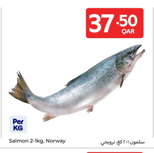 available at كارفور in قطر - الوكرة