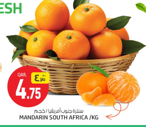 Mandarin available at Saudia Hypermarket in Qatar - Al-Shahaniya