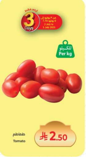 طماطم available at كبايان هايبرماركت in مملكة العربية السعودية, السعودية, سعودية - جدة