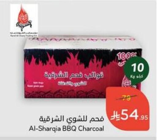 Outdoors & Garden in Hyper Panda, Saudi Arabia Offers - Saudi Arabia available at Hyper Panda in KSA, Saudi Arabia, Saudi - Al Duwadimi