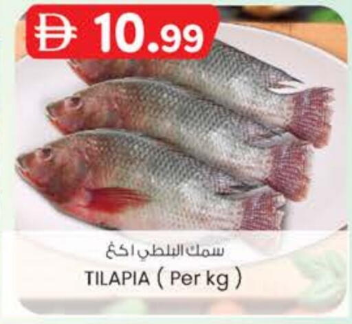 available at K M Trading  in UAE - Fujairah