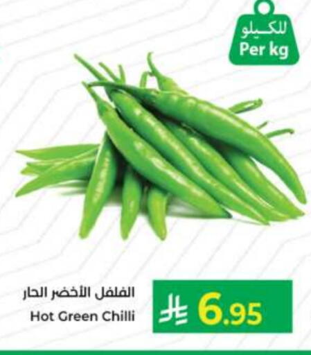 Chilli / Capsicum available at Kabayan Hypermarket in KSA, Saudi Arabia, Saudi - Jeddah