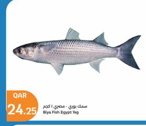 available at City Hypermarket in Qatar - Al Wakra