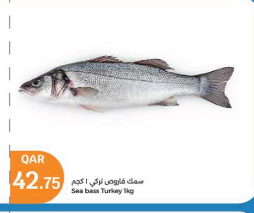 available at City Hypermarket in Qatar - Al Wakra
