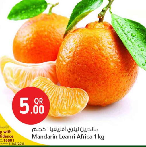 Fresh Fruits in Safari Hypermarket, Qatar Offers - Qatar Orange available at Safari Hypermarket in Qatar - Al Shamal