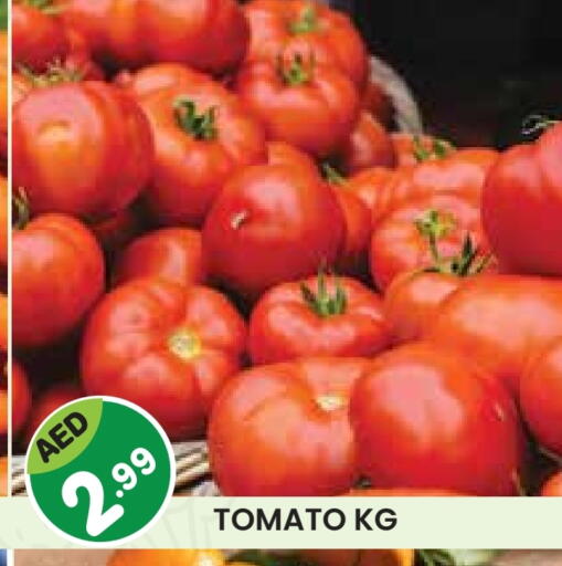 Tomato available at Fresh Spike Supermarket in UAE - Dubai