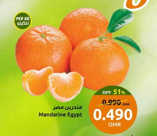 Fresh Fruits in Sultan Center , Oman Offers - Oman Orange from Egypt available at Sultan Center in Oman - Muscat