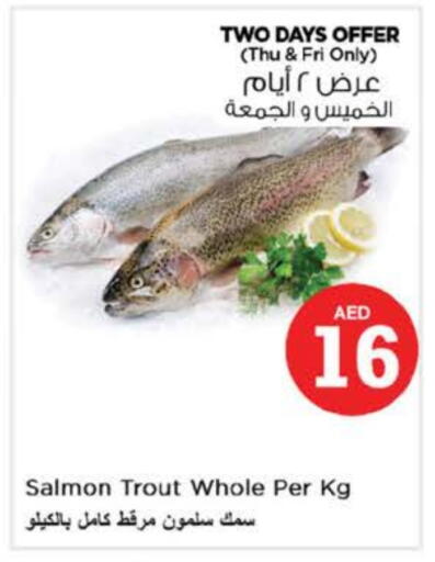 available at Nesto Hypermarket in UAE - Fujairah
