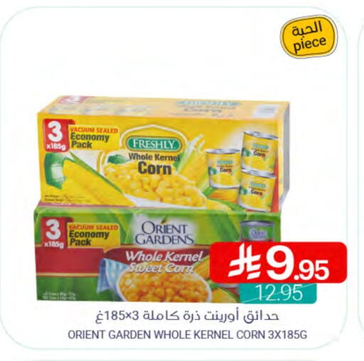 FRESHLY available at Muntazah Markets in KSA, Saudi Arabia, Saudi - Qatif
