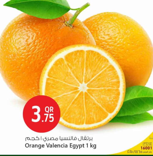Fresh Fruits in Safari Hypermarket, Qatar Offers - Qatar Orange from Egypt available at Safari Hypermarket in Qatar - Al Shamal
