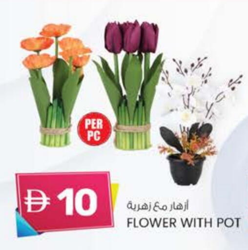 available at K M Trading  in UAE - Dubai