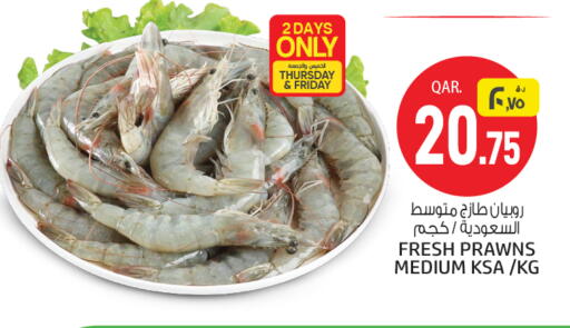 available at السعودية in قطر - الدوحة