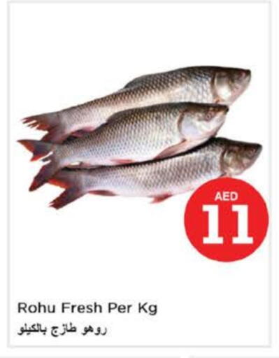 available at Nesto Hypermarket in UAE - Fujairah