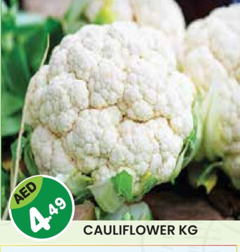 قرنبيط available at فريش سبايك سوبرماركت in الإمارات العربية المتحدة , الامارات - دبي