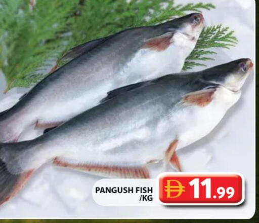 available at Grand Hyper Market in UAE - Dubai