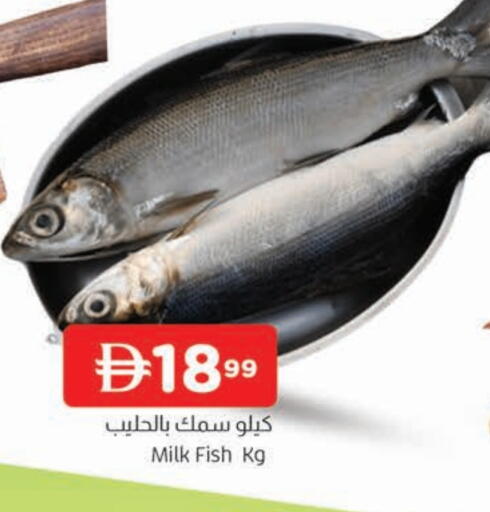 available at AL MADINA in UAE - Sharjah / Ajman