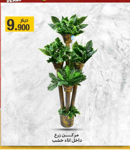Home Furnishing & Decor in Meem Central Market Co, Kuwait Offers - Kuwait available at Meem Central Market Co in Kuwait - Kuwait City