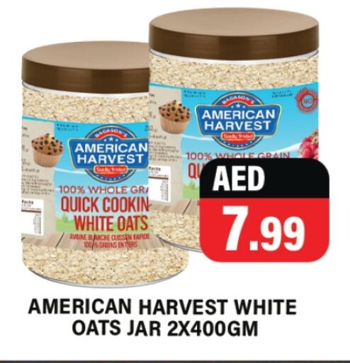 AMERICAN HARVEST Oats available at Gulf Hypermarket LLC in UAE - Ras al Khaimah