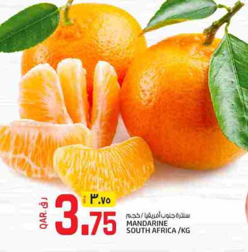 available at كنز ميني مارت in قطر - الشحانية