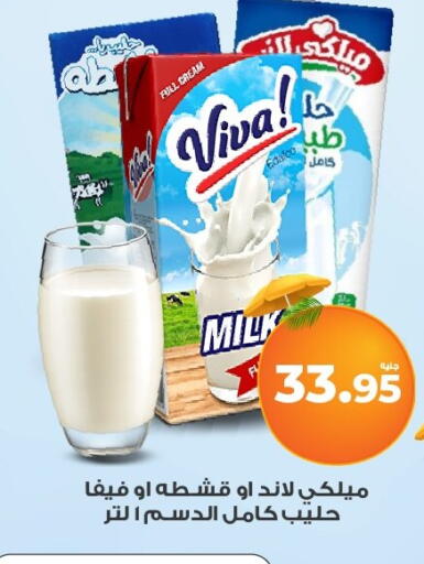 available at Kazyon  in Egypt - Cairo
