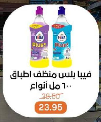 منظف عام available at بيت الجملة in Egypt - القاهرة