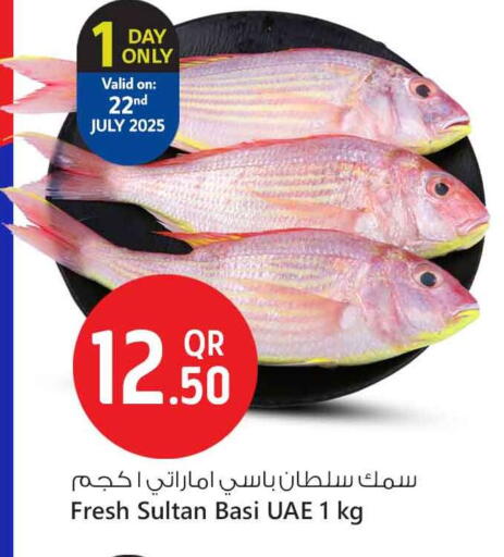 available at Safari Hypermarket in Qatar - Al Wakra