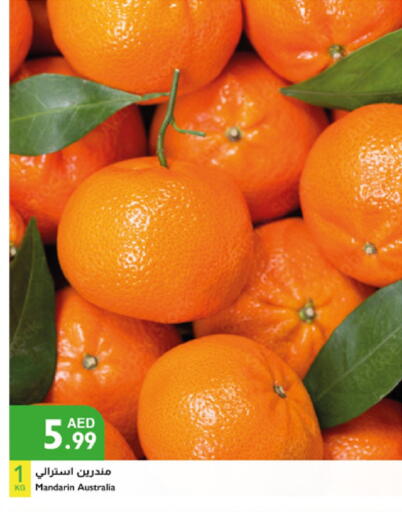 Orange from Australia available at Istanbul Supermarket in UAE - Al Ain