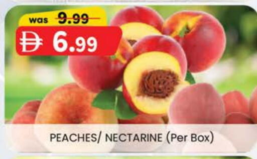 Nectarine available at Al Safa in UAE - Al Ain