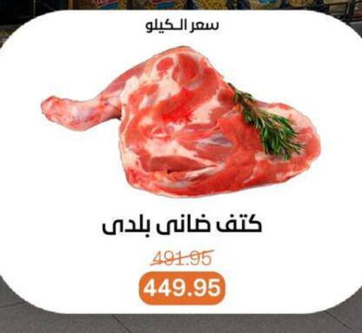 available at بيت الجملة in Egypt - القاهرة