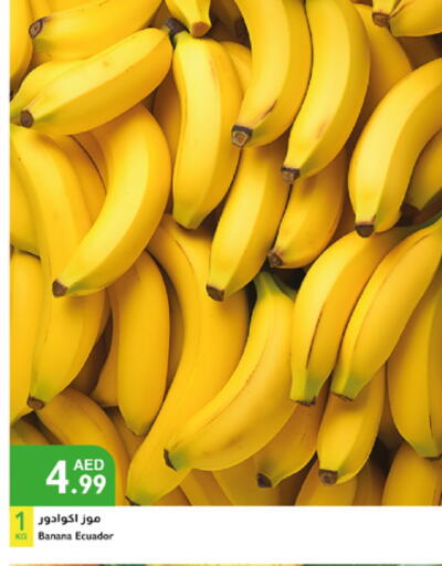 Banana from Ecuador available at Istanbul Supermarket in UAE - Al Ain
