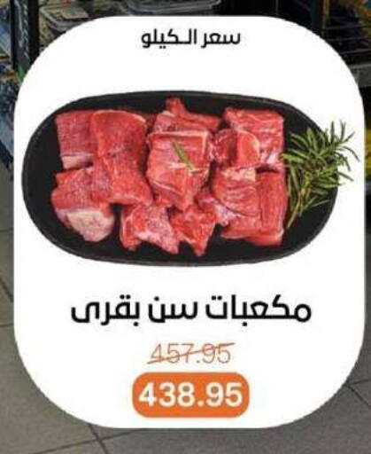 available at بيت الجملة in Egypt - القاهرة
