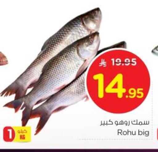 available at نستو in مملكة العربية السعودية, السعودية, سعودية - الرياض