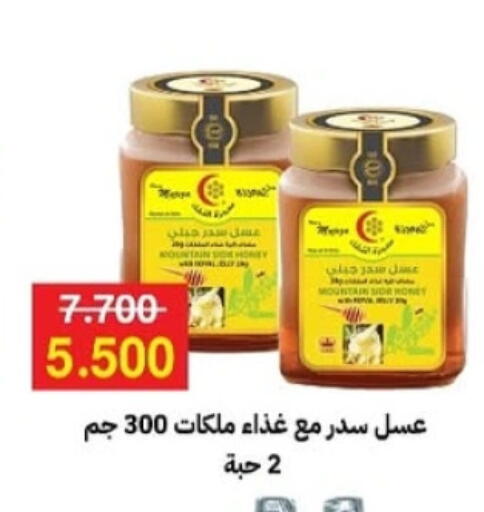 عسل available at جمعية مدينة صباح الأحمد التعاونية in الكويت - محافظة الجهراء