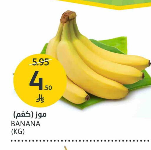 موز available at مركز الجزيرة للتسوق in مملكة العربية السعودية, السعودية, سعودية - الرياض