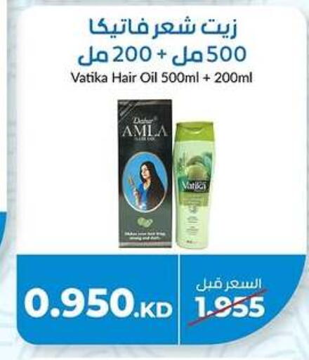 فاتيكا زيت شعر available at جمعية خيطان التعاونية in الكويت - مدينة الكويت