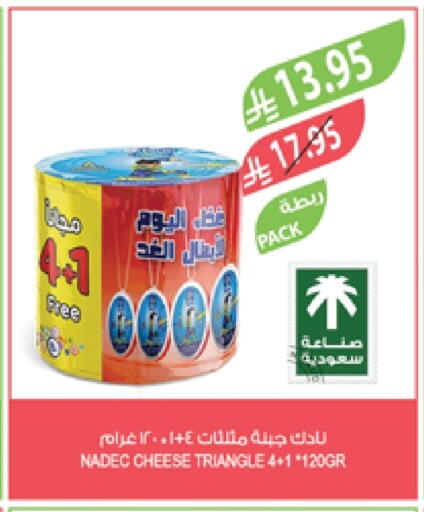 NADEC Triangle Cheese available at Farm  in KSA, Saudi Arabia, Saudi - Abha
