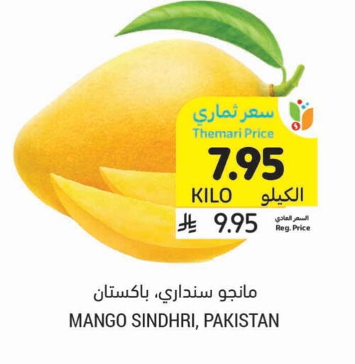 Mango Mango from Pakistan available at Tamimi Market in KSA, Saudi Arabia, Saudi - Medina